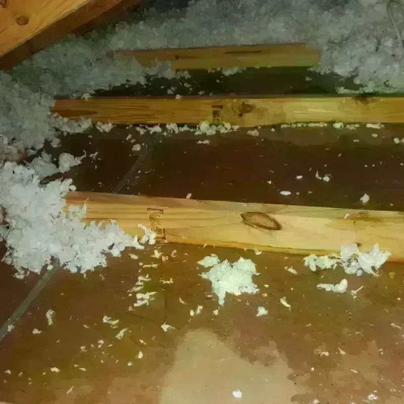 Best Attic Water Damage Service in Smith County, MS