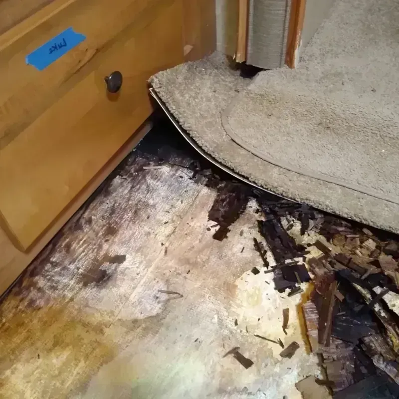 Wood Floor Water Damage in Smith County, MS